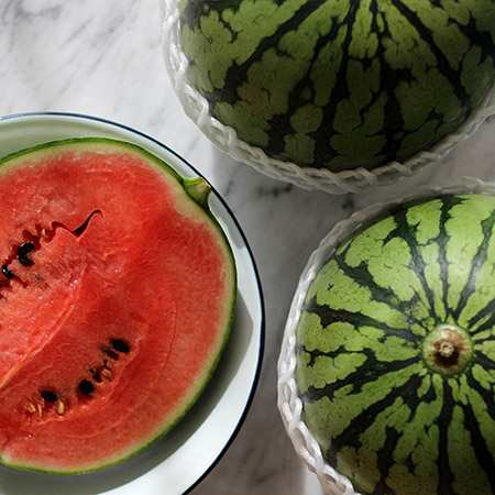 watermelon mojito