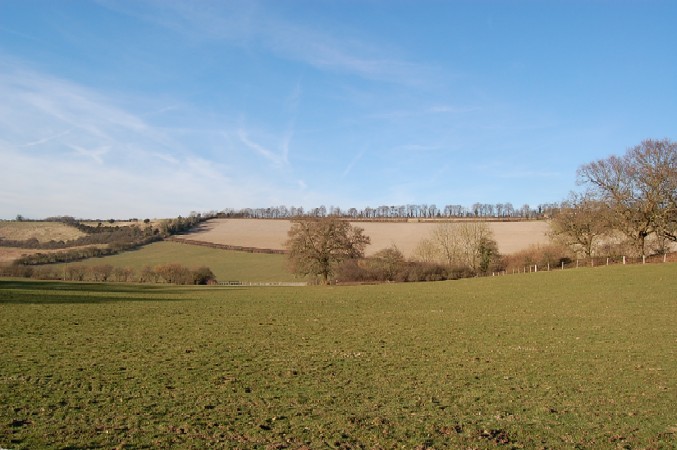 d0104926_355027.jpg