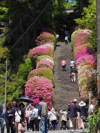 大興善寺04.jpg