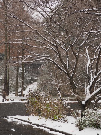 20141217雪07.jpg