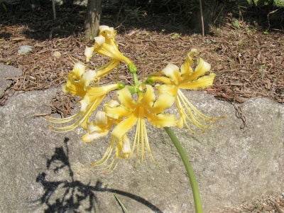 IMGP9936.jpg