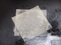 春巻き皮でパリパリサラミピザ21.jpgのサムネイル画像