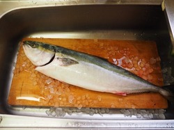 漬けブリの海鮮ちらし寿司01.jpg