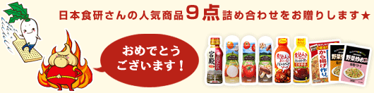 日本食研さんの人気商品9点詰め合わせをお贈りします