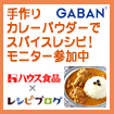 レシピブログのGABAN手作りカレーパウダーでスパイスレシピ!モニター参加中