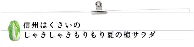 信州はくさいのしゃきしゃきもりもり夏の梅サラダ