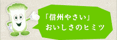 「信州やさい」おいしさの秘密