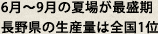 6月～9月の夏場が最盛期長野県の生産量は全国1位