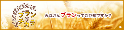 ブランのチカラ/みなさんブランってご存知ですか?