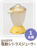 guzziniưȥ饹塼̾
