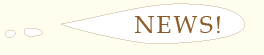 NEWS-logo