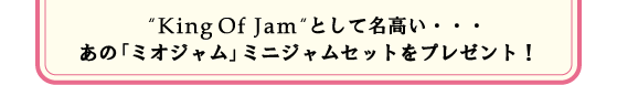 "King of Jam"Ȥ̾⤤Ρ֥ߥץߥ˥ॻåȤץ쥼ȡ