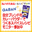 自分ブレンドのカレーパウダーでつくるスパイスレシピモニター参加中！