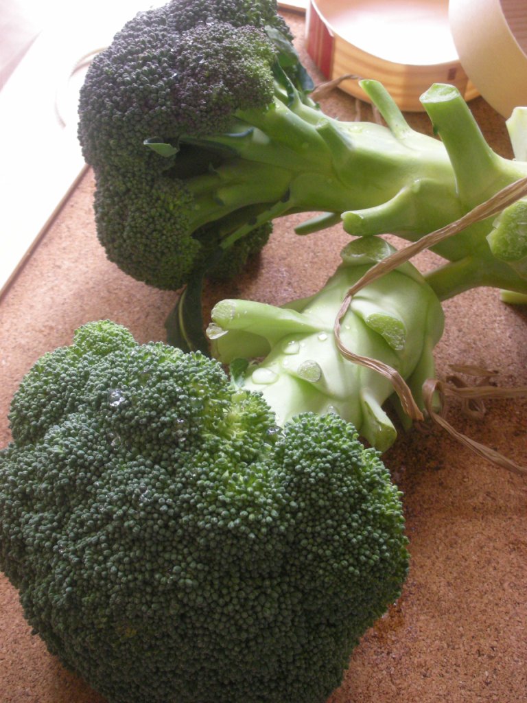 brocco1.jpg