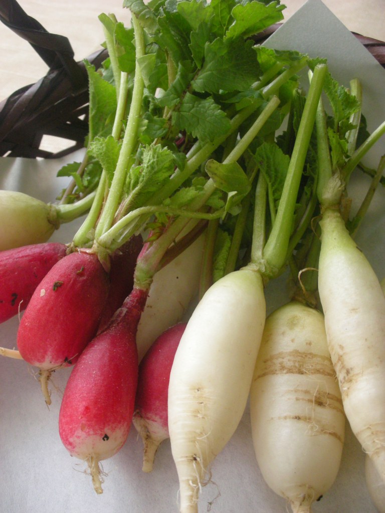 radish.jpg