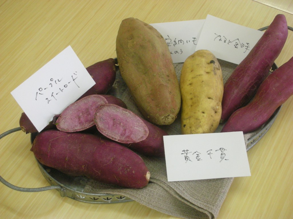 sweetpotato1.jpg