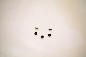 カツライオン