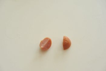 s05153.jpg