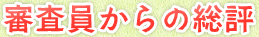 審査員からの総評