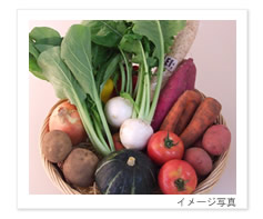 野菜ソムリエの店エフ　旬の野菜セット