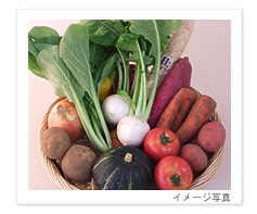野菜ソムリエの店エフ　旬の野菜セット