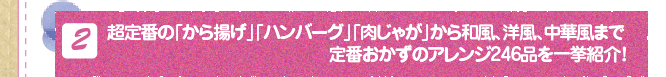 (2)超定番の「から揚げ」「ハンバーグ」「肉じゃが」から和風、洋風、中華風まで定番おかずのアレンジ246品を一挙紹介！