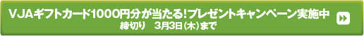 VJAギフトカード1000円分が当たる！プレゼントキャンペーン実施中  締切り　3月3日（木）まで