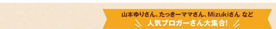 「レシピブログで話題！忙しいときでもスグでき！人気おかず」好評発売中！