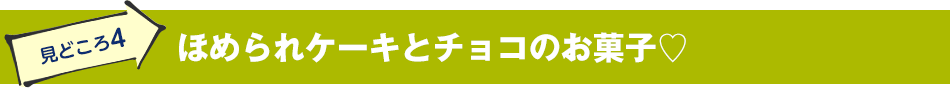 見どころ4　ほめられケーキとチョコのお菓子♡