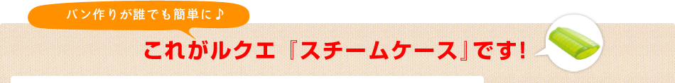 これがルクエ 『スチームケース』です！