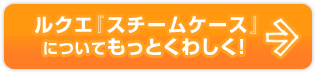 ルクエ『スチームケース 』についてもっとくわしく