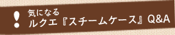 気になるルクエ『スチームケース』Q&A