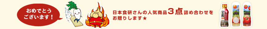 日本食研さんの人気商品3点詰め合わせをお贈りします