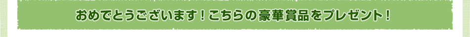 おめでとうございます！こちらの豪華賞品をプレゼント！