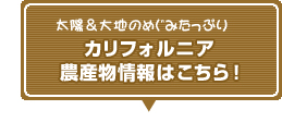 太陽＆大地のめぐみたっぷり　カリフォルニア農産物情報はこちら！