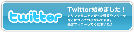 Twitter始めました！