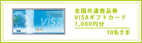 全国共通商品券 VISAギフトカード1000円分　10名さま