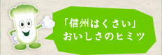 「信州はくさい」おいしさの秘密