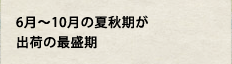 6月~10月の夏秋期が出荷の最盛期