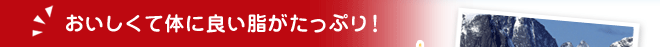 おいしくて体に良い脂がたっぷり！