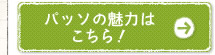 パッソの魅力はこちら！
