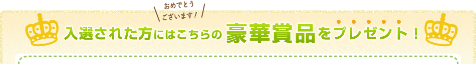 入選された方に豪華賞品をプレゼント