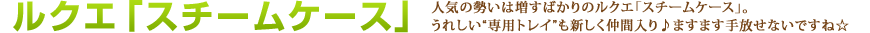 ルクエ「スチームケース」