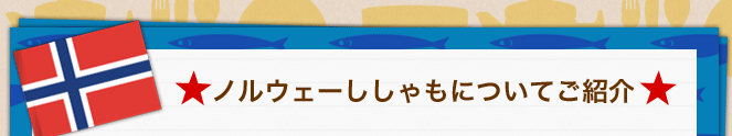 ノルウェーししゃもについてご紹介