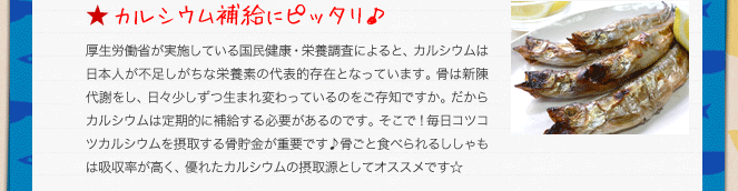 カルシウム補給にピッタリ♪／厚生労働省が実施している国民健康・栄養調査によると、カルシウムは日本人が不足しがちな栄養素の代表的存在となっています。骨は新陳代謝をし、日々少しずつ生まれ変わっているのをご存知ですか。だからカルシウムは定期的に補給する必要があるのです。そこで！毎日コツコツカルシウムを摂取する骨貯金が重要です♪骨ごと食べられるししゃもは吸収率が高く、優れたカルシウムの摂取源としてオススメです☆