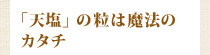 「天塩」の粒は魔法のカタチ