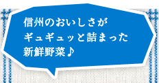 信州のおいしさがギュギュッと詰まった新鮮野菜♪