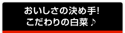 おいしさの決め手！こだわりの白菜♪