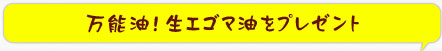 万能油！生エゴマ油をプレゼント