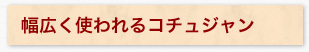 幅広く使われるコチュジャン